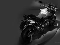 Benelli Tre-K 1130