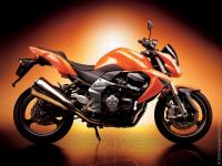 Kawasaki Z1000 07