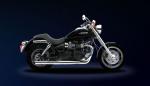 Triumph Speedmaster 2008 : Coloris