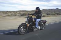 Harley Davidson Cross Bones