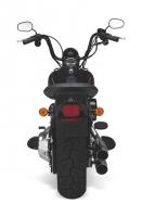 Harley Davidson Cross Bones