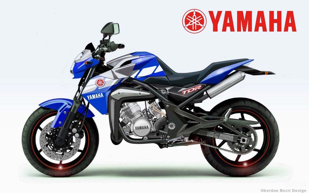 Yamaha TDR 350 2009
